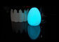 Luz formada huevo llevada PVC suave de la luz de la noche de la novedad con la batería 3*LR44 proveedor