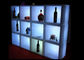Refrigerador recargable del cubo de hielo de la luz los 40cm del cubo del polietileno LED para la exhibición de la botella proveedor