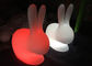 Silla llevada juego del conejo de los muebles del resplandor de los niños con la luz colorida, material plástico proveedor