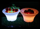 Refrigerador decorativo del partido del cubo de hielo del LED para la fruta, cubo de hielo iluminado  proveedor