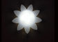 La flor de encargo formó las lámparas de mesa decorativas/las luces de la decoración del techo del LED y de la pared proveedor